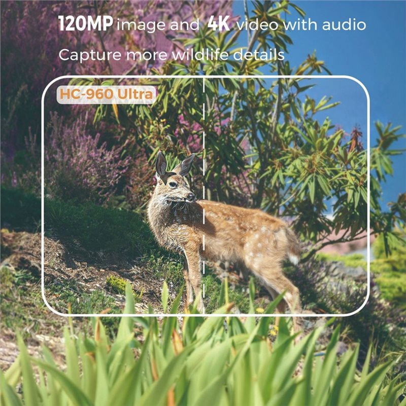 Caméra de chasse FEDI étanche  - Hunting Outdoor Camera avis et prix