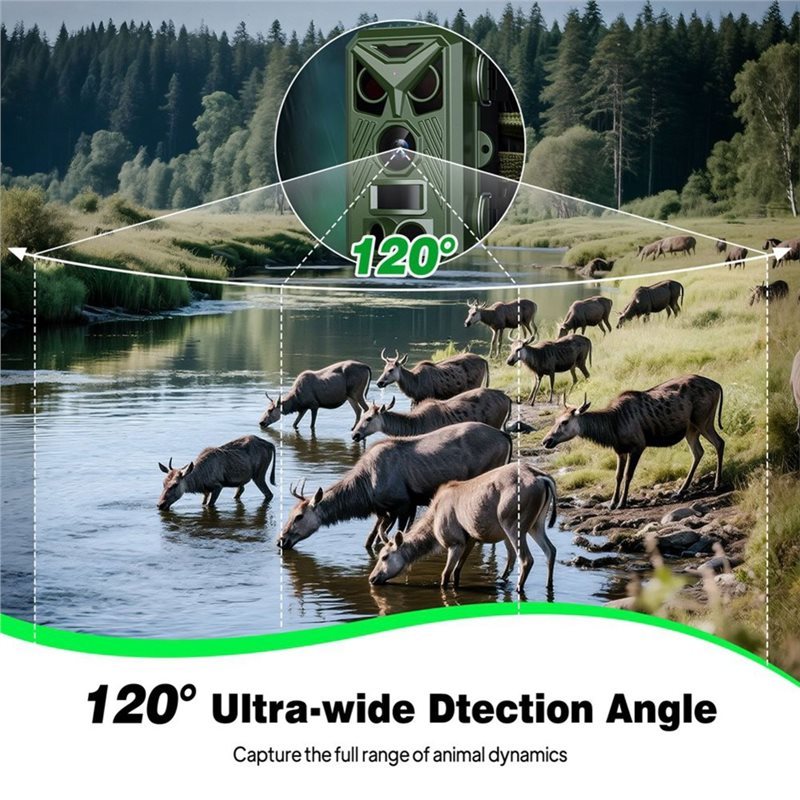 BTLIFE - Caméra de surveillanc - Hunting Outdoor Camera avis et prix