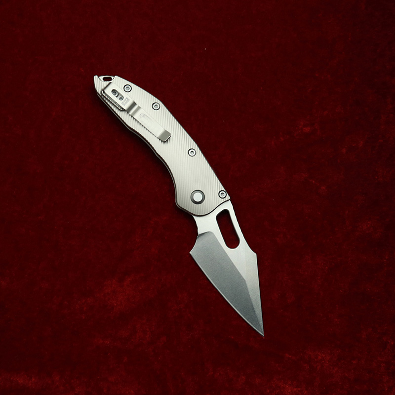 LEMIFSHE point RamL manuel tit - Knife Hunting Fixed Blade avis et prix