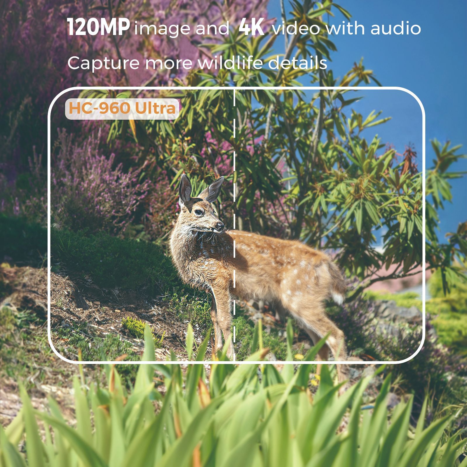 Vidéo extérieur 4K 120MP Photo - Hunting Outdoor Camera avis et prix